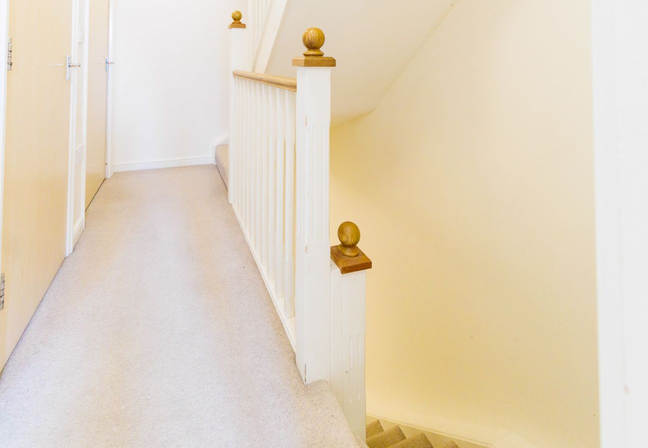 Terraced House in Cambridge - Orchid House