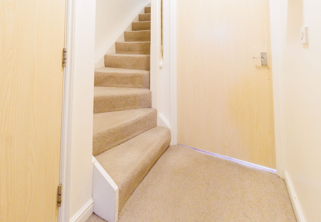 Terraced House in Cambridge - Orchid House