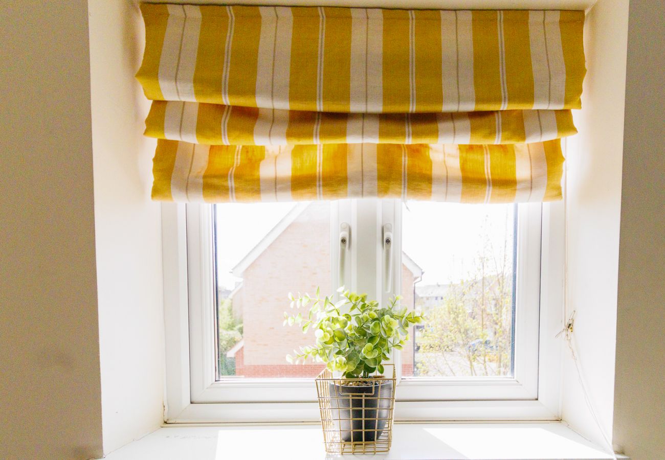 Terraced House in Cambridge - Orchid House