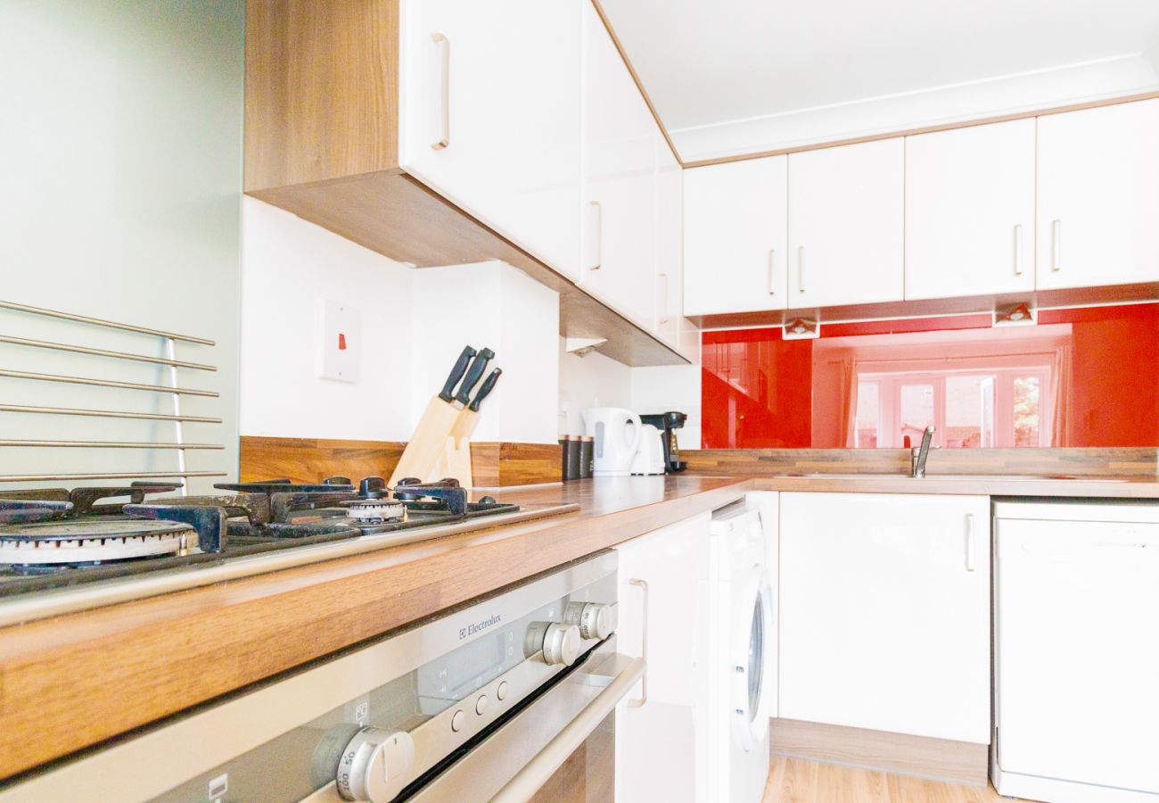 Terraced House in Cambridge - Orchid House
